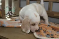 processed/cb8bd5fb-a62b-443f-8d33-b4817364ef2b/listing/1e8ec203-bc6a-4bf2-be07-b60c1a55d1ca/a7cdada8-e52e-445a-a120-b674840d5def