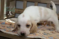 processed/cb8bd5fb-a62b-443f-8d33-b4817364ef2b/listing/1e8ec203-bc6a-4bf2-be07-b60c1a55d1ca/a81144ea-ce9f-48be-b5c6-f86432120c1b