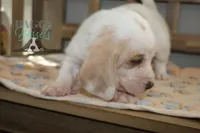 processed/cb8bd5fb-a62b-443f-8d33-b4817364ef2b/listing/1e8ec203-bc6a-4bf2-be07-b60c1a55d1ca/d8b26174-5245-4a33-87e7-4c2d614b9831