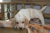 processed/cb8bd5fb-a62b-443f-8d33-b4817364ef2b/listing/1e8ec203-bc6a-4bf2-be07-b60c1a55d1ca/e857bc43-ab60-47ed-a1ee-1abfafa071a4