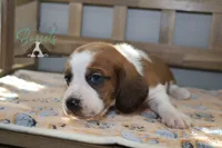 processed/cb8bd5fb-a62b-443f-8d33-b4817364ef2b/listing/4ac41dda-db39-4412-8732-9d976ad1b0b2/254e6d6b-c3e4-4509-b8aa-bad9e1fc5ed9