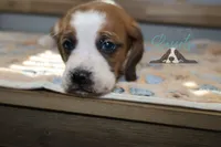 processed/cb8bd5fb-a62b-443f-8d33-b4817364ef2b/listing/4ac41dda-db39-4412-8732-9d976ad1b0b2/4525f877-b4d2-4176-b9c8-1461ce0a0870