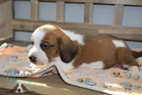 processed/cb8bd5fb-a62b-443f-8d33-b4817364ef2b/listing/4ac41dda-db39-4412-8732-9d976ad1b0b2/a36ed73c-e76f-4b74-8b8a-b1dbfbf46a81