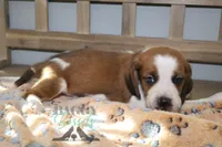 processed/cb8bd5fb-a62b-443f-8d33-b4817364ef2b/listing/4ac41dda-db39-4412-8732-9d976ad1b0b2/a47944a6-abcd-4951-8b60-7ff379d6521a