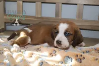 processed/cb8bd5fb-a62b-443f-8d33-b4817364ef2b/listing/4ac41dda-db39-4412-8732-9d976ad1b0b2/b0434b16-3bc5-4391-852e-37c649b38ae6