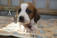 processed/cb8bd5fb-a62b-443f-8d33-b4817364ef2b/listing/4ac41dda-db39-4412-8732-9d976ad1b0b2/c8858eb0-efce-48c6-9281-71b77796a8b0