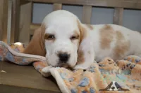 processed/cb8bd5fb-a62b-443f-8d33-b4817364ef2b/listing/cb41a362-8c7a-490f-a88c-42f2880af811/52f898c5-978c-4ce1-995e-9c1688854521