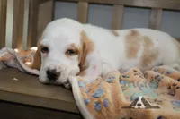 processed/cb8bd5fb-a62b-443f-8d33-b4817364ef2b/listing/cb41a362-8c7a-490f-a88c-42f2880af811/9ee8b689-69ad-42a8-873e-445cc2956966