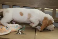 processed/cb8bd5fb-a62b-443f-8d33-b4817364ef2b/listing/cb41a362-8c7a-490f-a88c-42f2880af811/a2773ba6-93e9-4db0-aa40-f0c1eed1c830