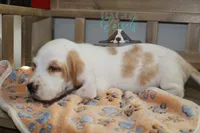 processed/cb8bd5fb-a62b-443f-8d33-b4817364ef2b/listing/cb41a362-8c7a-490f-a88c-42f2880af811/b0b91e9a-9fb5-41ca-913e-39df6c257f07