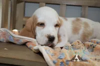 processed/cb8bd5fb-a62b-443f-8d33-b4817364ef2b/listing/cb41a362-8c7a-490f-a88c-42f2880af811/b6dffaf7-4361-4dc0-9fc9-62e312268e2c