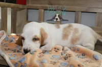 processed/cb8bd5fb-a62b-443f-8d33-b4817364ef2b/listing/cb41a362-8c7a-490f-a88c-42f2880af811/e180904e-a656-4c16-b4ab-fbea27eac3ba