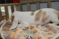 processed/cb8bd5fb-a62b-443f-8d33-b4817364ef2b/listing/cb41a362-8c7a-490f-a88c-42f2880af811/e5847217-9fef-454c-81ad-3bd094e57fe0