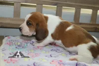 processed/cb8bd5fb-a62b-443f-8d33-b4817364ef2b/listing/eaac8509-9858-4ca3-b2e9-2e7825be7a2c/14fb2d8b-4364-4c63-acf0-4d8d0021e199