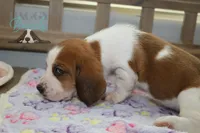 processed/cb8bd5fb-a62b-443f-8d33-b4817364ef2b/listing/eaac8509-9858-4ca3-b2e9-2e7825be7a2c/238e0548-10ff-4f9d-a465-106aaabb2ce3