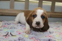 processed/cb8bd5fb-a62b-443f-8d33-b4817364ef2b/listing/eaac8509-9858-4ca3-b2e9-2e7825be7a2c/26f2fbd0-e2a4-479f-a965-0055385a5ee2