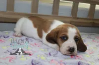 processed/cb8bd5fb-a62b-443f-8d33-b4817364ef2b/listing/eaac8509-9858-4ca3-b2e9-2e7825be7a2c/58f7b172-b29f-4d1a-9bef-59cdbbf0b044