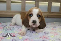 processed/cb8bd5fb-a62b-443f-8d33-b4817364ef2b/listing/eaac8509-9858-4ca3-b2e9-2e7825be7a2c/91223d3e-a7be-406b-80d5-9f6606934353