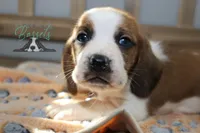 processed/cb8bd5fb-a62b-443f-8d33-b4817364ef2b/listing/eaac8509-9858-4ca3-b2e9-2e7825be7a2c/aec87bda-5534-4f10-a14a-81173afe4023