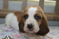 processed/cb8bd5fb-a62b-443f-8d33-b4817364ef2b/listing/eaac8509-9858-4ca3-b2e9-2e7825be7a2c/fa29e96c-829e-4e44-bcf1-08b6a08bc29e