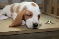 processed/cb8bd5fb-a62b-443f-8d33-b4817364ef2b/listing/fe5ae3f2-7d06-44f1-8339-333654df3b93/0531f911-c8b9-48eb-a065-5b7871eb5eee