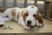 processed/cb8bd5fb-a62b-443f-8d33-b4817364ef2b/listing/fe5ae3f2-7d06-44f1-8339-333654df3b93/2500e4bd-3dd6-4cdb-9419-6cd679ac4d28