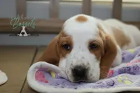 processed/cb8bd5fb-a62b-443f-8d33-b4817364ef2b/listing/fe5ae3f2-7d06-44f1-8339-333654df3b93/af30a6e1-e031-4e71-bfec-ff9637568f74