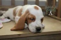 processed/cb8bd5fb-a62b-443f-8d33-b4817364ef2b/listing/fe5ae3f2-7d06-44f1-8339-333654df3b93/b18f64a5-e3db-4ba9-84f0-0b80ed862c50