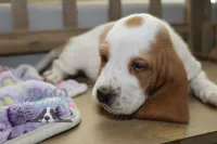 processed/cb8bd5fb-a62b-443f-8d33-b4817364ef2b/listing/fe5ae3f2-7d06-44f1-8339-333654df3b93/b6668af4-5a51-4f5f-a610-7b54ac713df5