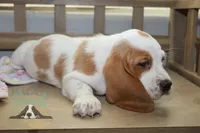 processed/cb8bd5fb-a62b-443f-8d33-b4817364ef2b/listing/fe5ae3f2-7d06-44f1-8339-333654df3b93/bda96c8e-f3c9-4fc2-bc11-51514052da49