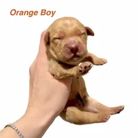 processed/cb951768-47b3-47f1-a23a-7e86a1c874c3/listing/2460ad8d-55c4-4c76-9ab9-9d5d812b83f6/8fd03a3c-a1a5-403d-8301-489fa4961b5a