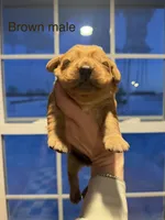 processed/cb951768-47b3-47f1-a23a-7e86a1c874c3/listing/2460ad8d-55c4-4c76-9ab9-9d5d812b83f6/9b164239-9207-4eb7-b47e-d04497ad2e55