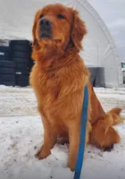 processed/cb951768-47b3-47f1-a23a-7e86a1c874c3/listing/2460ad8d-55c4-4c76-9ab9-9d5d812b83f6/b37c4605-43e4-4b6b-96ec-78a3508e30f3