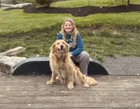 Avery, a female Golden Retriever for sale in Gouverneur, NY – 1 of 1