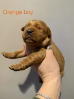 processed/cb951768-47b3-47f1-a23a-7e86a1c874c3/listing/7d952908-d3ab-4623-9501-047530e7106d/b3915258-53c3-474f-a654-b0e8b774c891