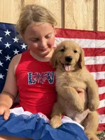 Orange boy, a male Golden Retriever for sale in Gouverneur, NY – 3 of 10