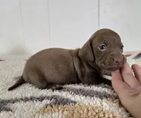 processed/cb96d1bb-4ba6-4927-b1de-ea924a8cfce6/listing/5e26b0cf-efce-4ae2-9d7e-171f66525c2a/1cf0d4ba-925b-4c76-a71d-9144a4fe8b00