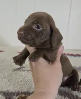 processed/cb96d1bb-4ba6-4927-b1de-ea924a8cfce6/listing/5e26b0cf-efce-4ae2-9d7e-171f66525c2a/7f48820c-e0a5-4f22-b075-3e2cd98624b5