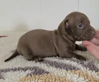 processed/cb96d1bb-4ba6-4927-b1de-ea924a8cfce6/listing/5e26b0cf-efce-4ae2-9d7e-171f66525c2a/964ea089-1190-40fb-b21d-2f243208dbc8