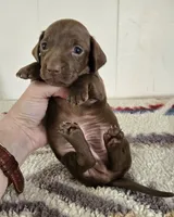 processed/cb96d1bb-4ba6-4927-b1de-ea924a8cfce6/listing/5e26b0cf-efce-4ae2-9d7e-171f66525c2a/b422fff7-f5b6-4f16-8d02-90b363a8ea52