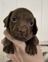 processed/cb96d1bb-4ba6-4927-b1de-ea924a8cfce6/listing/5e26b0cf-efce-4ae2-9d7e-171f66525c2a/c118d3bd-98e1-4c3b-912a-20aa37e7cfb7