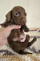 processed/cb96d1bb-4ba6-4927-b1de-ea924a8cfce6/listing/5e26b0cf-efce-4ae2-9d7e-171f66525c2a/c1d93108-ca04-4703-a8c3-47e28cf672ce