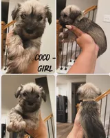 processed/cb976284-bcd3-43d9-a860-ba9ad3757bcc/facility/30e2d176-3d98-4720-844f-2ff293a2a9a7