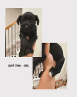 processed/cb976284-bcd3-43d9-a860-ba9ad3757bcc/facility/44fc101b-a02c-427a-8003-b34720ebd782