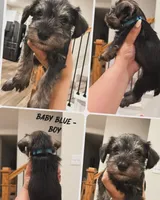 processed/cb976284-bcd3-43d9-a860-ba9ad3757bcc/facility/cbaa5fe1-6442-4c71-b28c-cf8d4cbece3b