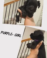 processed/cb976284-bcd3-43d9-a860-ba9ad3757bcc/facility/d0aa71e9-7132-473e-ab24-db6f5c710c7c