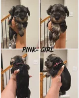 processed/cb976284-bcd3-43d9-a860-ba9ad3757bcc/facility/efe65df7-8b02-44cd-b2b5-6ad1bbc797f3