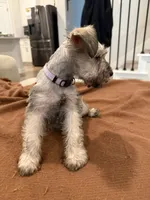 processed/cb976284-bcd3-43d9-a860-ba9ad3757bcc/listing/12acd1f5-185f-4bd1-8b76-ad8bb4010cdb/40cfaaa0-5047-4c82-8b9c-f4a50d7833d2