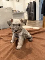 processed/cb976284-bcd3-43d9-a860-ba9ad3757bcc/listing/12acd1f5-185f-4bd1-8b76-ad8bb4010cdb/5e71a069-2636-4848-b4b3-99ebd734a63f