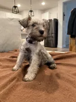 processed/cb976284-bcd3-43d9-a860-ba9ad3757bcc/listing/12acd1f5-185f-4bd1-8b76-ad8bb4010cdb/76a70f2d-2f48-4611-bdc5-94cd879c000f